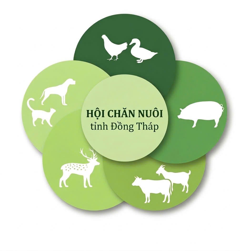 Hội Chăn nuôi và Thú y Đồng Tháp: cổng thông tin số cho hội viên ngành chăn nuôi